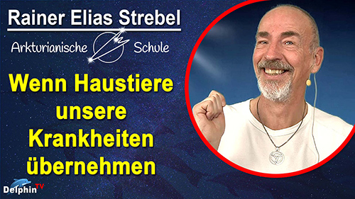 Bild Energetische Tierheilung